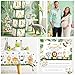 cocomigo 300PCS Safari Baby Shower Decorations, 30 Safari Theme Tableware, All-in-1 Pack Includes Backdrop Tablecloth Balloon Boxes Balloon Kit for Baby Shower Decorations Boy