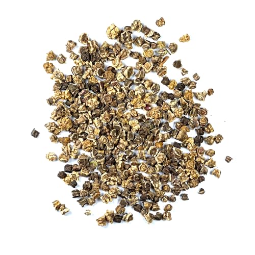 Seed Needs Rainbow Beet Seeds for Planting 8 Varieties | 1,500+ Heirloom Seeds Beet Beta Vulgaris Non GMO Untreated | Great Home Garden Favorites Vegetable Beet Seed | Bulk