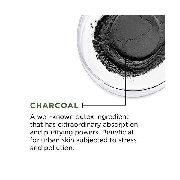 L'Oreal Paris Skincare Pure Clay Face Mask with Charcoal for Dull Skin to Detox & Brighten Skin, Clay Mask, at home face mask, 1.7 oz.