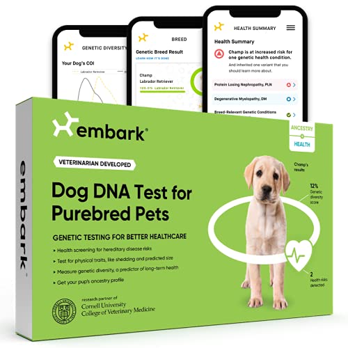 Top 10 Best Dog Dna Health Test Reviews & Buying Guide Katynel