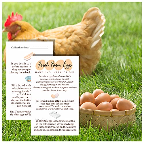 Fresh Farm Eggs Handling Instructions, Eggs Handling Instructions, Egg Handling Instructions For Farm Fresh Eggs, Colored Egg Design Card, 2 X 3.5" Inches Business Card Size, Pack Of 50 #TOP5