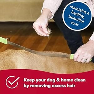 Coastal Pet Safari Dual-Sided Dog Shedding Blade – Stainless Steel Grooming Blade for Thick Coats – for Dogs with Short and Long Hair – Medium-Large – 10″ x 3.25″