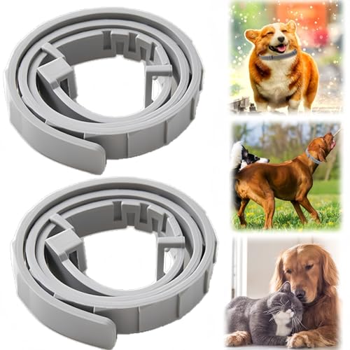 2PCS Dog Col/lar Adjustable Repellent Col/lars Flea and Tick Treatment Long-Lasting Protection and Non-Irritating to Pets Material Safety Easily Adjust Size Waterproof and Suitable for Most Gray