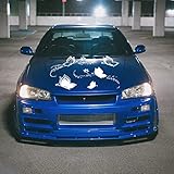 Breite Anwendung: universeller Aufkleber, perfekt für Autotür, Seite, Motorhaube, Stoßstange oder Heckscheibe oder Heimdekoration (Laptop, Kofferraum, Tür, Fenster, Wand usw.).