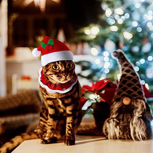 Set de disfraces navideños para gatos y perros pequeños miniatura 6