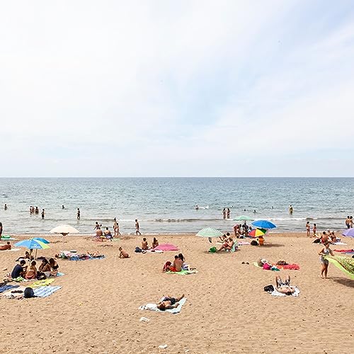 #341 Il piano contro l'erosione costiera nel Lazio, il pratone di Torre Spaccata e altre storie di Roma copertina
