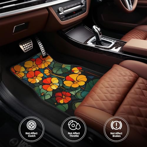 Alfombrillas de coche impermeables: proteja el suelo de su vehículo de manchas y lodo 6