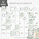 MeinBaby123® Meilensteinkarten Schwangerschaft | Meilenstein Karten Set Geschenk zur Schwangerschaft | Fotokarten für die Schwangerschaft | 42 Karten Inkl. hochwertigem Baumwollsäckchen (Eukalyptus)