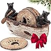 Bear Coasters Set of 6 Full Size Rustic Coasters in Handmade Canoe with Adorable Black Bear Figurines Black Bear Log Cabin Decorations Rustic Lodge Decor for The Home