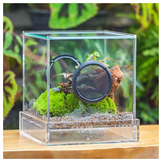 Closed Insect Enclosure with Drainage