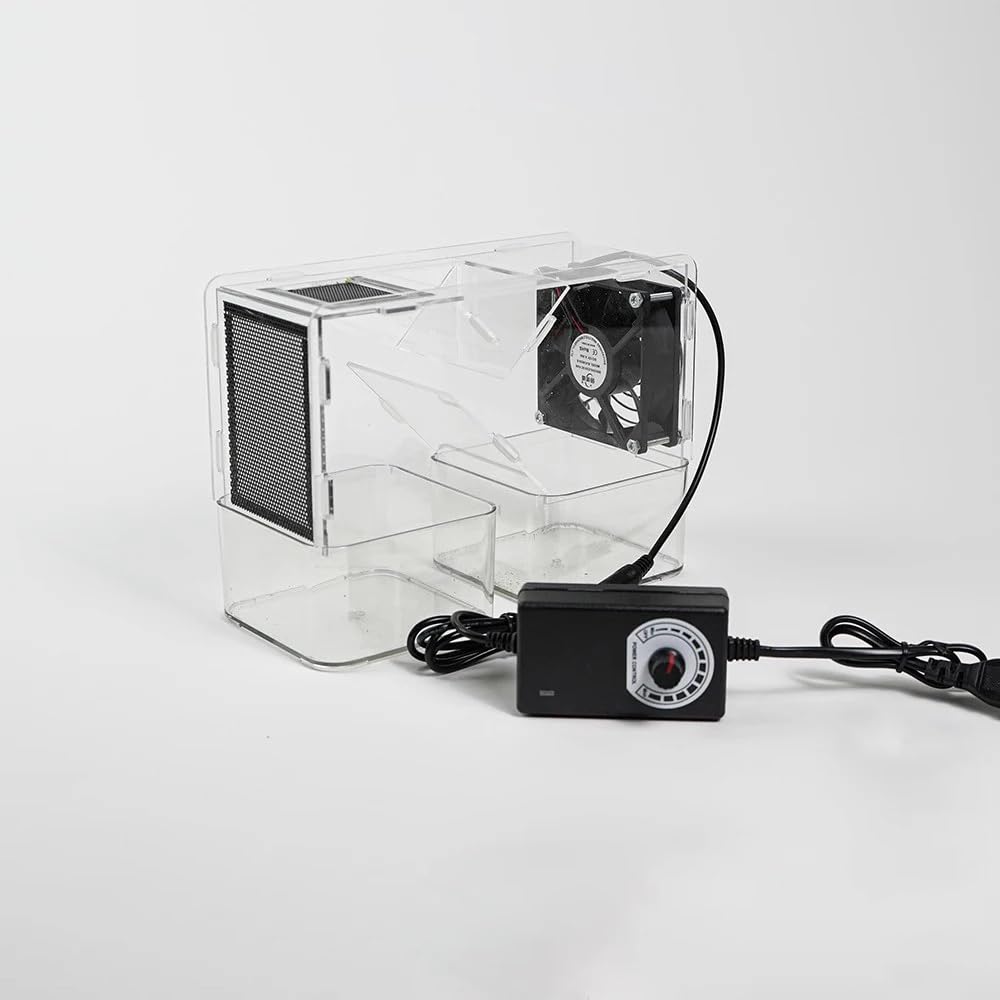 Mini Macchina per Sgusciare e Soffiare Semi di Uccelli – Pulitore Elettrico per Cibo per Uccelli per Rimuovere le Bucce – Velocità del Vento Regolabile, Design in Acrilico Lavabile