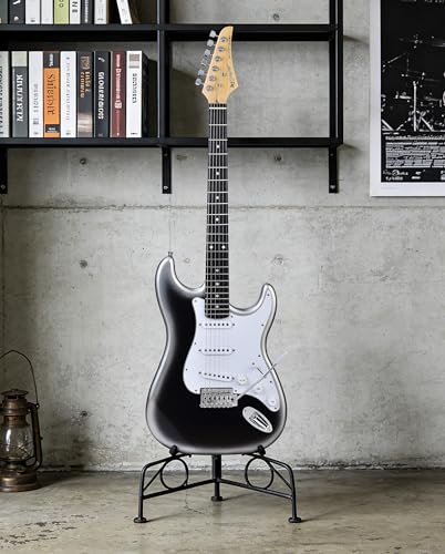 Image of Leo Jaymz Beginner Electric Guitar 39 inch Kit with Portable Amplifier, Padded Gig Bag, Digital Tuner，Capo，Strap，Picks，Classic SSS Pickups (White-Black Fade-SSS)