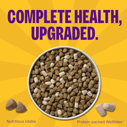 Wellness Complete Health+ Adult Dry Dog Food with Freeze Dried Wellbites, Wholesome Grain Kibble+, Natural, Chicken and Oatmeal Recipe, 4 lb Bag - image 3