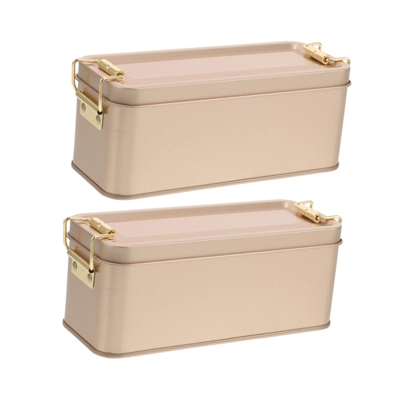 Beatifufu 2pcs Tinplate Cake Storage Tin Cookie Storage Tin Creative Cookie Container Tinplate Birthday Box