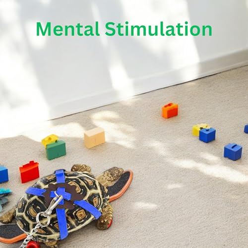 Image of Tortoise Harness and Leash with Toy Skateboard for Turtle set, Funny Tortoise Skateboard and Adjustable Leather Harness Leash, Training Skateboard and Turtle Harness Leash Pet Tortoises Toys (Blue, S)