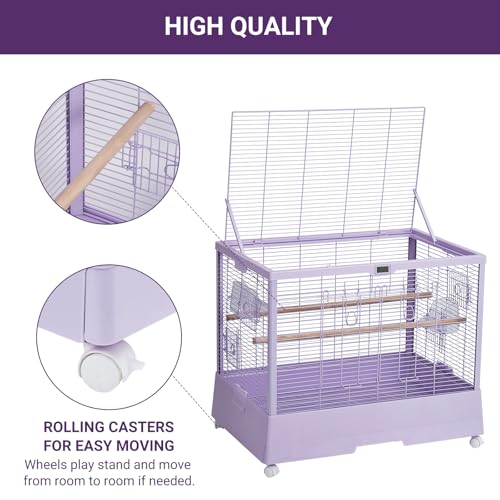 Image of Pet Products Clear View Glass Bird Cage Crystal Palace for Small Birds - Purple Frame