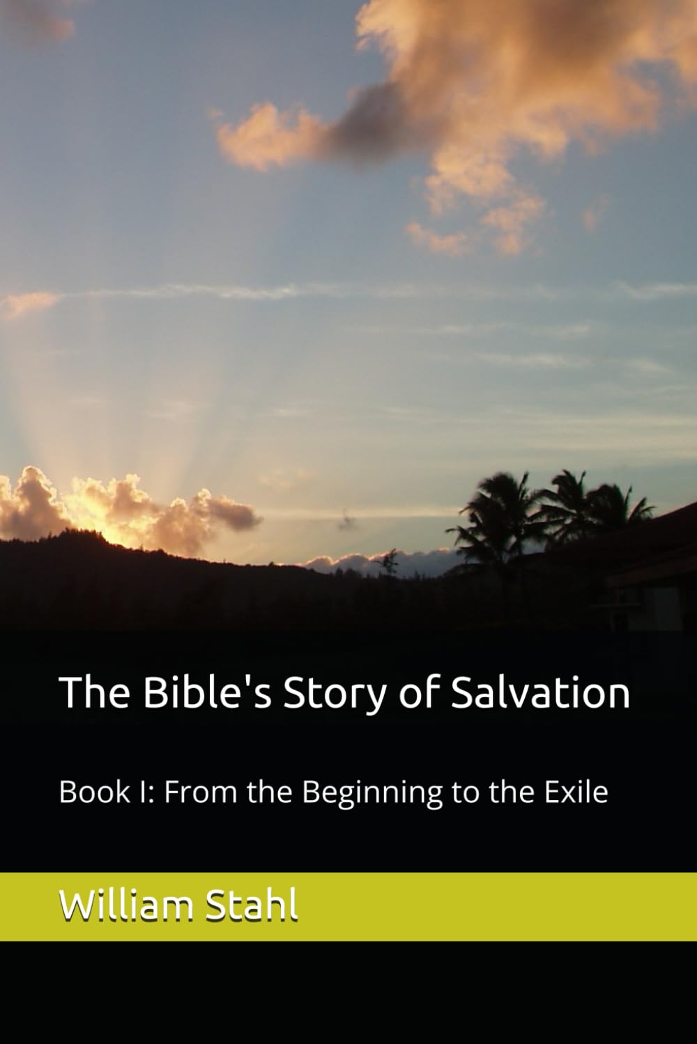 The Bible's Story of Salvation: Book I: From the Beginning to the Exile