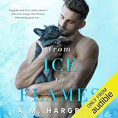 Couverture de From Ice to Flames