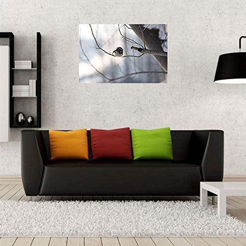 Mésange à tête noire poster grand format 91x123cm décoration murale