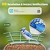 Bird Feeder with Camera, 1 Year Trial AI Identify, Birds Watching Camera with 4 DIY Add-ons, Smart Birds Cam with Solar Panel for Outdoor, Auto Record Videos, Gift for Bird Lover #3