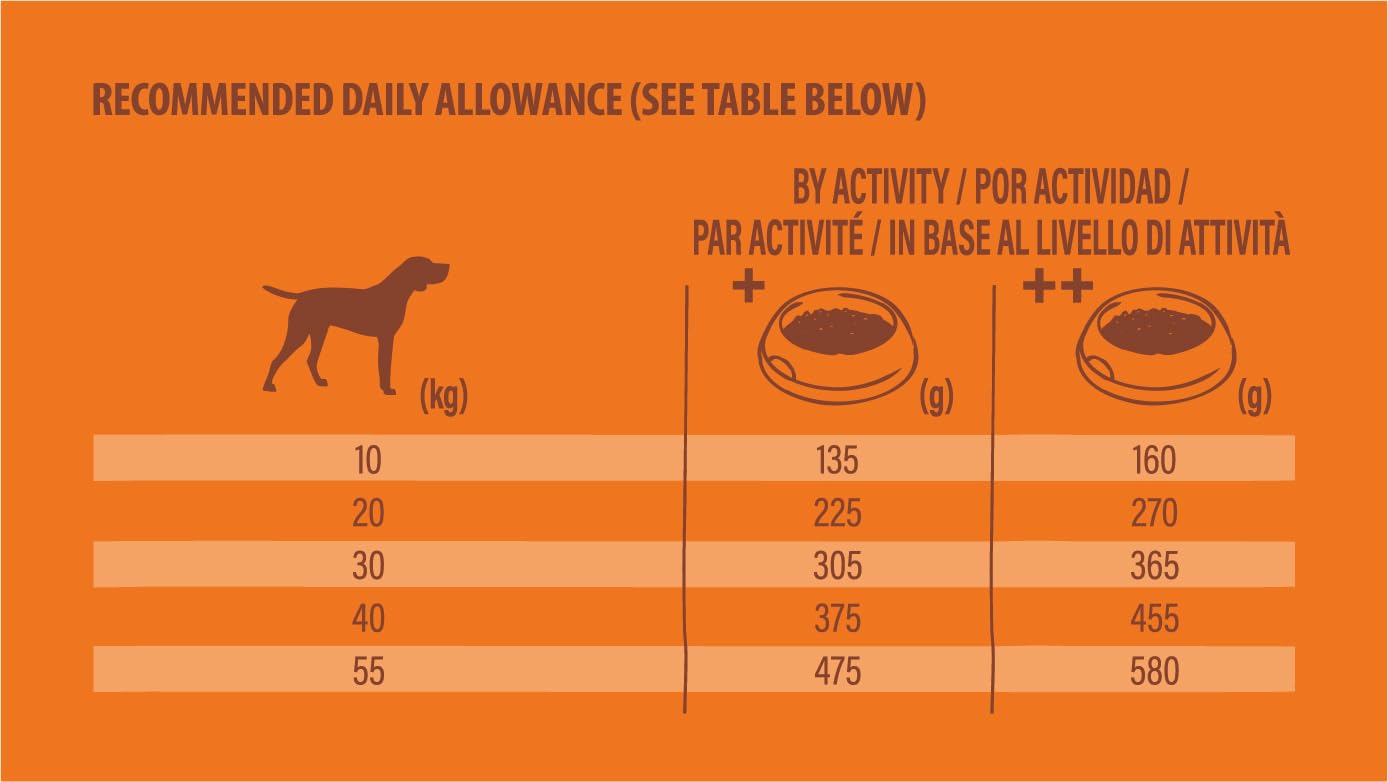 Nature's Variety Selected, Pienso para Perros Adultos Medianos y grandes, Sin cereales, con Salmón noruego sin espinas, 12kg