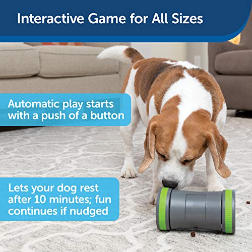 Petsafe Kibble Chase - Electronic & Interactive Dog Treat Dispensing Toy, Encourages Play Time, Adjustable Opening, 10 Minutes Play And Rest, Holds 1/2 Cup Of Treats, Durable Plastic #TOP3