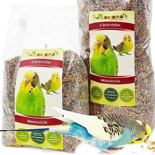JR FARM Wellensittich-Futter 1 Kg (2er Pack) – Artgerechte Saatenmischung Mit Austernschalen, Vitaminen & Spurenelementen