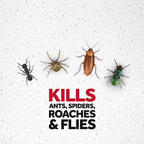 Image of Raid Multi Insect Killer, Orange Breeze Scent Bug Killer for Indoor and Outdoor Use, Kills Bugs on Contact, 15 Oz (Pack of 2)