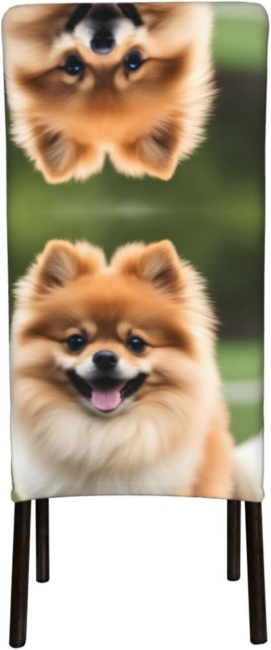 Happy Pomeranian Prints Protection Cover for Dining Chair - Stretchable Chair Throw Covers for Dining Room, Hotel Event Party