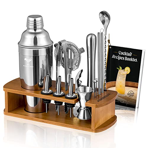 KITESSENSU Cocktail Shaker Set Bartender Kit with Stand | Bar Kit Drink Mixer Set with All Essential Bar Accessory Tools: Martini Shaker, Jigger, Strainer, Mixer Spoon, Muddler, Liquor Pourers |Silver