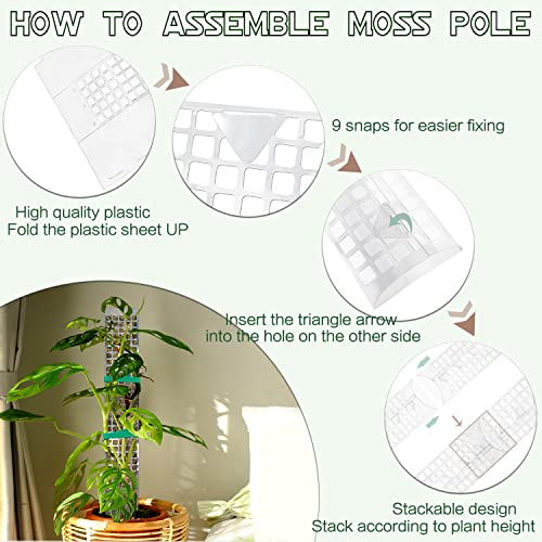 Plastic Moss Pole For Plants Monstera,24 Inch Support For Climbing Plants,Self-Watering Moss Sticks For Indoor Plants Work With Sphagnum Moss,Moss Not Included #TOP2