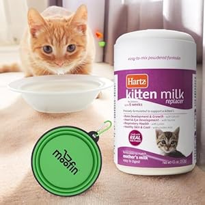 Kitten Milk Replacer Powder, 11 Oz, Bundled with Silicon Pet Bowl, Easy-to-Mix Formula with Essential Vitamins & Minerals, Powdered Milk for Growth & Development~ [Pack of 3]