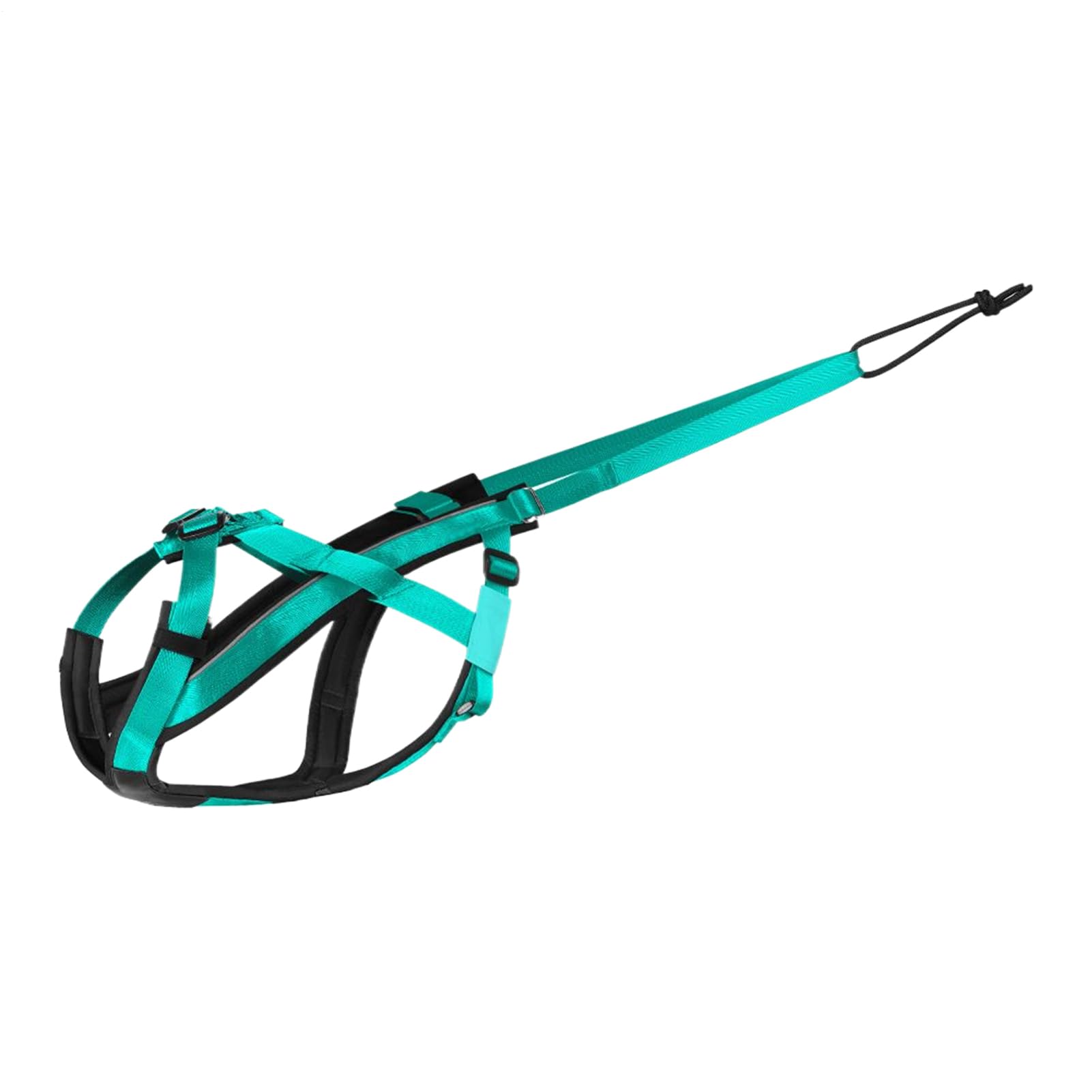 Harnais de traction pour grand chien de qualité supérieure avec sangle ajustable et confortable