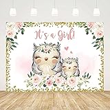 Ticuenicoa Owl Baby Shower Backdrop for Girls It's a Girl Photography Backdrops Gold Floral Animals Babyshower Background Cake Table Decorations Oh Baby Gender Reveal Supplies Banners 5x3ft