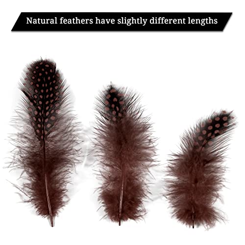 Tharaht 120Pcs Coffee Spotted Small Natural Bulk Feathers 2-3 Inches For For Sewing Crafts Clothing Jewelry Wedding Hair Hats Dream Catcher Decoration Guinea Fowl Feathers #TOP2