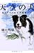 南アルプス山岳救助隊K-9　天空の犬 (徳間文庫)