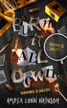 Burn It All Down (Hometown Antihero)