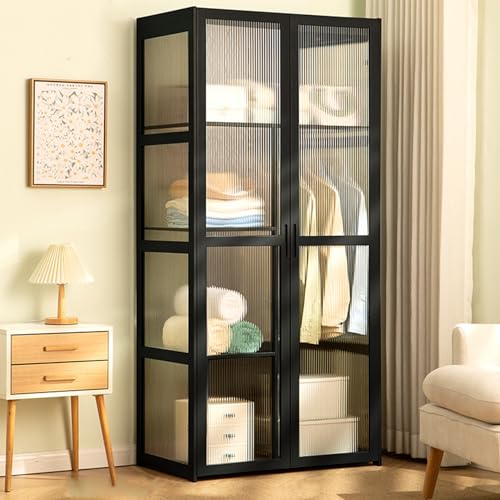 Hynbdes Armario Transparente acrílico, Armario de Dormitorio, Organizador de Armario, Organizador de Puerta Transparente, Apto para salón, Dormitorio, fácil Montaje Negro81*47 * 170