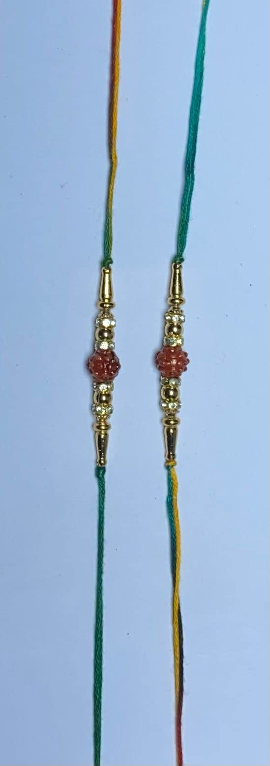 Needle Threader Compatible with Singer Simple 2263 3116 3221 3223 3229 3232 H74 More