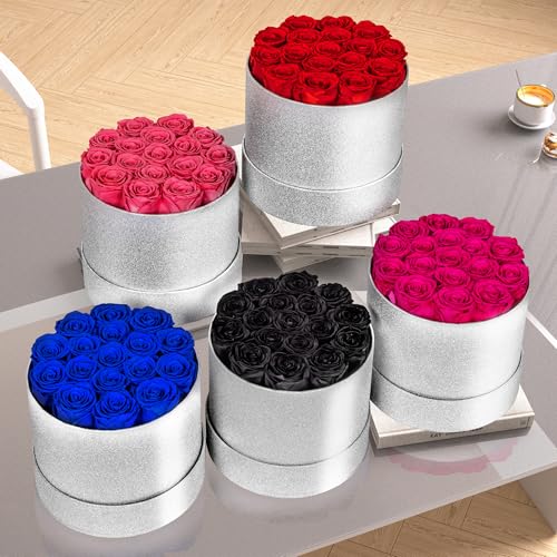 17 Red Flowers in Glitter Box, Birthday Gifts for Women, Preserved Flowers, Mothers Day Roses Gift for Mom