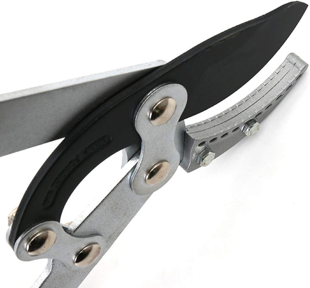 Heavy Duty Tree Ratchet Lopper Pruner Professional Garden Lopper, Anvil Razor Blades for Cutting Thick Branches, Suitable for Fruit Tree Pruning, Bonsai Pruning,