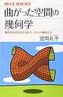 洋書　数学　英語　「非正曲率の距離空間」 洋書数学英語「非正曲率の距離空間」