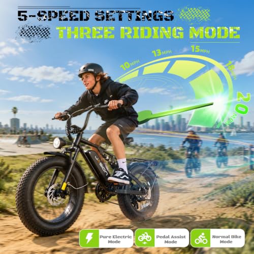Jasion EB5 Sport Electric Bike, 20'' Fat Tire Ebikes for Adults/Teens, Best Ebike for Men with 720Wh Removable Battery, 7 Speed Full Suspension Electric Bicycles, UL2849 Certified - image 4