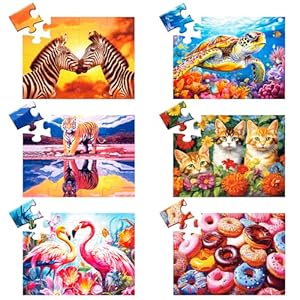 6 stuks 16 grote puzzelstukken voor senioren puzzels dementie Alzheimer producten en activiteiten Alzheimer puzzel ouderen volwassenen cognitief spel cadeau voor patiënten in verpleeghuis met 6