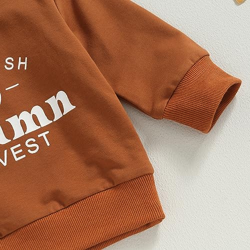 Toddler Baby Boy Girl Halloween Outfits Farm Sweatshirt Top Pumpkin Patch Pant Set Fall Autumn Clothes Autumn Farm 3-6 Months3