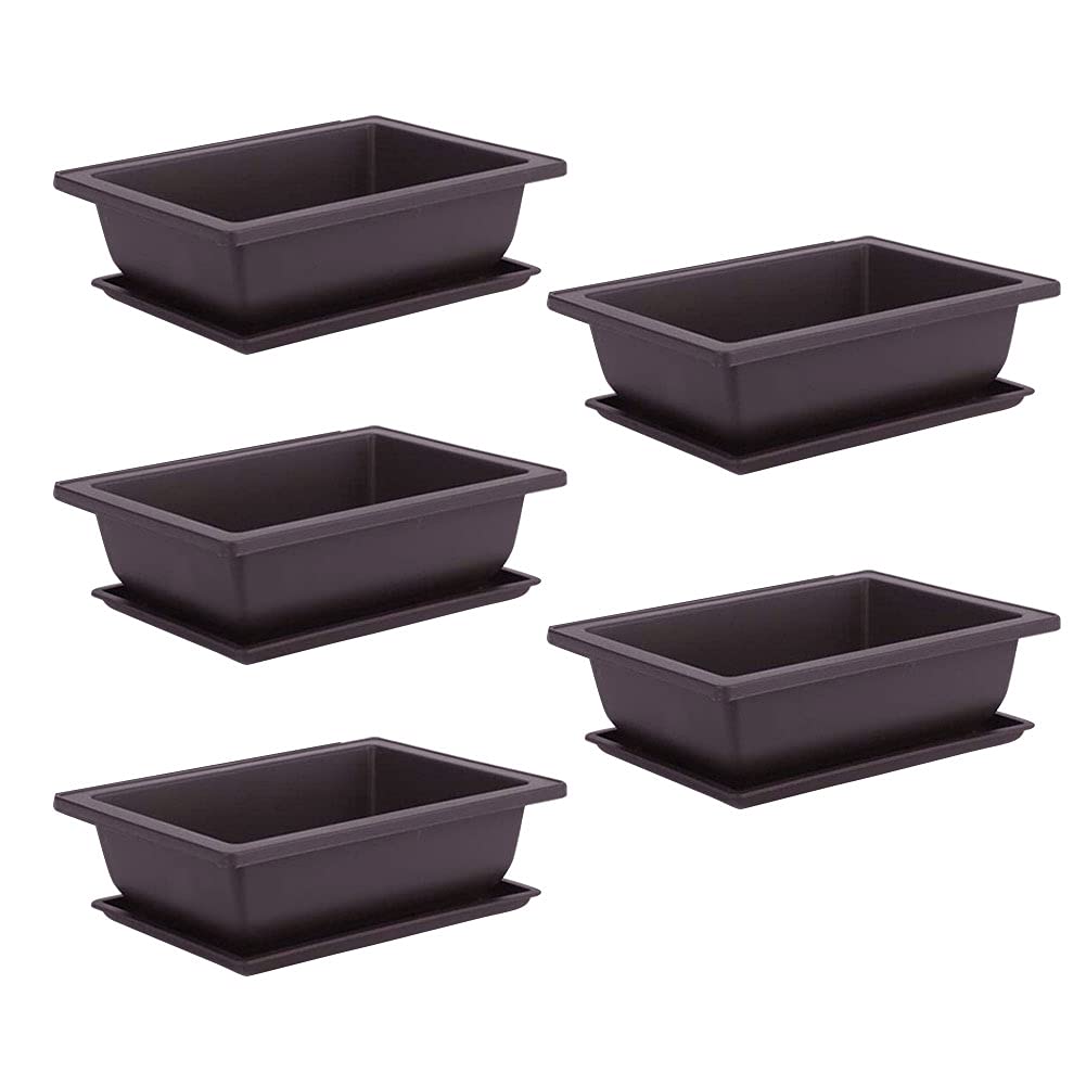 Set adatto di 6 vasi da per bonsai con vassoio ... - Leroy Merlin
