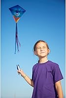 Vista 4 de HQ Cometa de diamantes de 27" de Kites Eddy Sharky