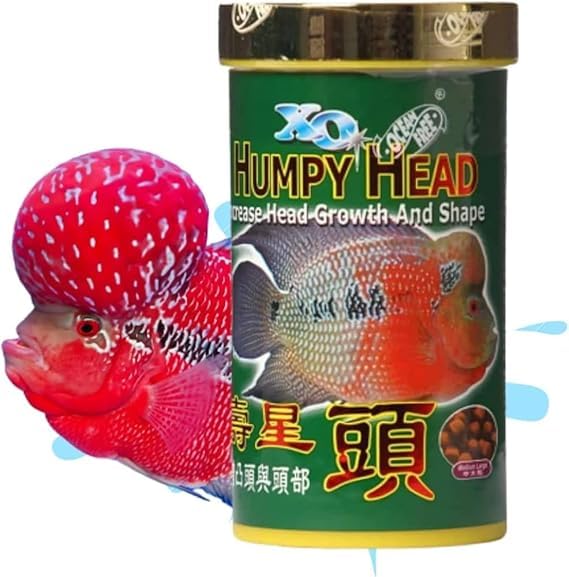 See full amazon price history chart for XO Humpy Head (100g) Flower Horn Fish Food Pellets (Original), to Increases Head Growth and Shape. XO Humpy Head (100g) Flower Horn Fish Food Pellets (Original), to Increases Head Growth and Shape. (B0DGQKPCMN) Amazon Price History, Amazon Price Tracker