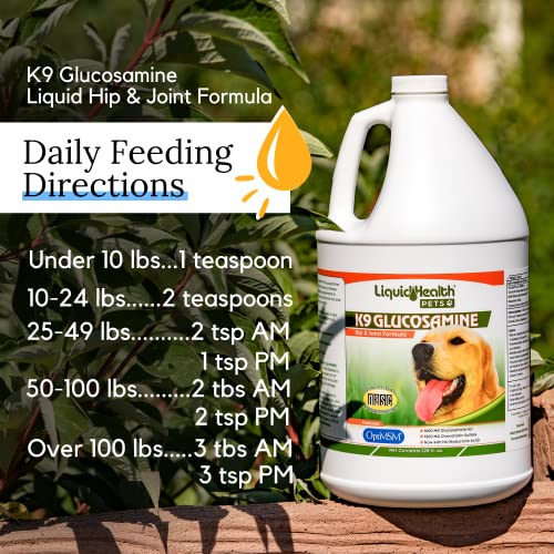Liquidhealth 128 Oz K9 Liquid Glucosamine For Dogs, Puppies And Seniors - Chondroitin, Msm, Hyaluronic Acid – Dog Hip And Joint Health, Dog Vitamins For Dog Joint Pain, Dog Joint Oil - 1 Gallon #TOP5