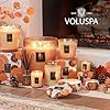 Voluspa Spiced Pumpkin Latte Scented Diffuser, 3.4... #5
